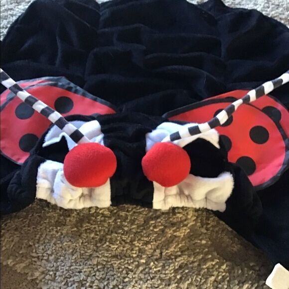 Ladybug Pet Costume  - Picture 2 of 3